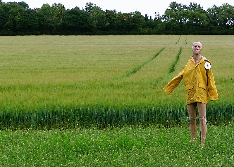 Newbyth scarecrow.JPG